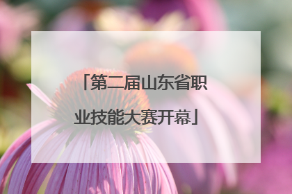 第二届山东省职业技能大赛开幕