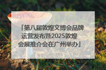 第八届敦煌文博会品牌运营发布暨2025敦煌会展推介会在广州举办