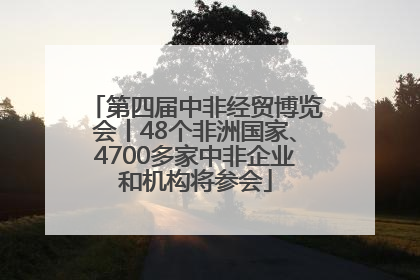 第四届中非经贸博览会丨48个非洲国家、4700多家中非企业和机构将参会