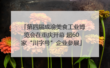 第四届成渝美食工业博览会在重庆开幕 超60家“川字号”企业参展