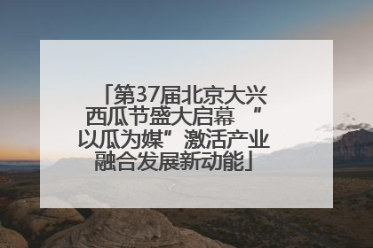 第37届北京大兴西瓜节盛大启幕 “以瓜为媒”激活产业融合发展新动能