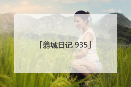 翁城日记 935