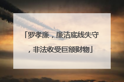 罗孝廉，廉洁底线失守，非法收受巨额财物