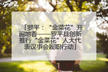 罗平：“金菜花”开遍地香——罗平县创新推行“金菜花”人大代表议事会履职行动