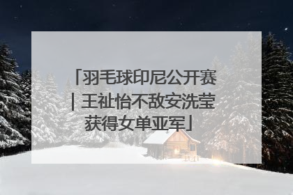 羽毛球印尼公开赛｜王祉怡不敌安洗莹 获得女单亚军