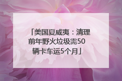 美国夏威夷：清理前年野火垃圾需50辆卡车运5个月