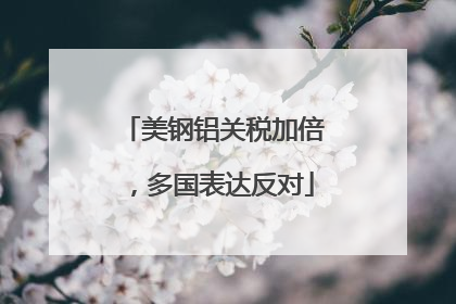 美钢铝关税加倍，多国表达反对