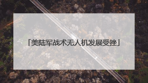 美陆军战术无人机发展受挫