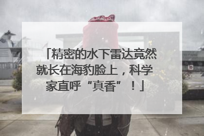 精密的水下雷达竟然就长在海豹脸上，科学家直呼“真香”！