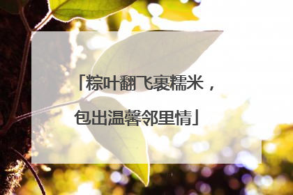粽叶翻飞裹糯米，包出温馨邻里情