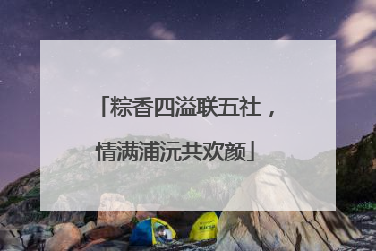 粽香四溢联五社，情满浦沅共欢颜