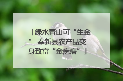 绿水青山可“生金” 奉新县农产品变身致富“金疙瘩”