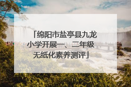 绵阳市盐亭县九龙小学开展一、二年级无纸化素养测评