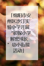 绵阳市安州区沙汀实验小学开展“初探小学 解密成长”幼小衔接活动