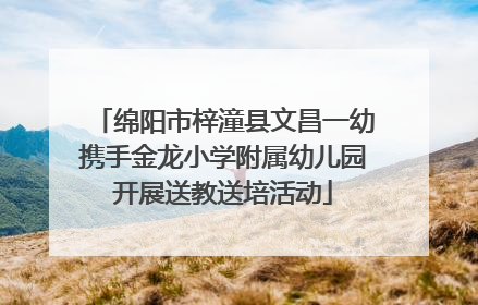 绵阳市梓潼县文昌一幼携手金龙小学附属幼儿园开展送教送培活动