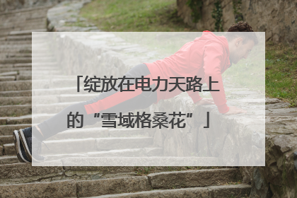 绽放在电力天路上的“雪域格桑花”