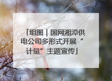 组图｜国网湘潭供电公司多形式开展“计量”主题宣传