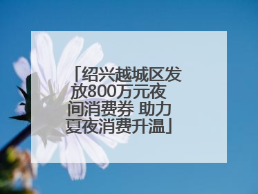 绍兴越城区发放800万元夜间消费券 助力夏夜消费升温