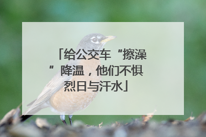 给公交车“擦澡”降温，他们不惧烈日与汗水