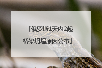 俄罗斯1天内2起桥梁坍塌原因公布