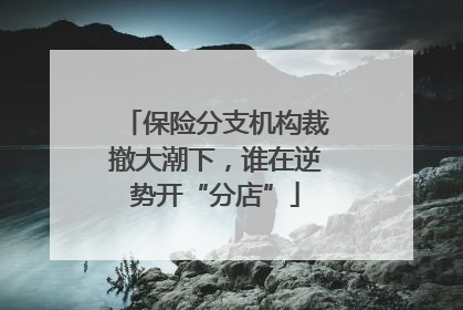 保险分支机构裁撤大潮下，谁在逆势开“分店”