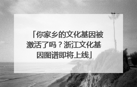 你家乡的文化基因被激活了吗？浙江文化基因图谱即将上线