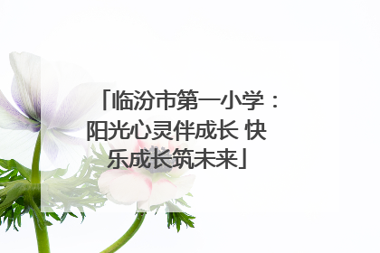 临汾市第一小学：阳光心灵伴成长 快乐成长筑未来
