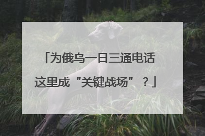 为俄乌一日三通电话 这里成“关键战场”？