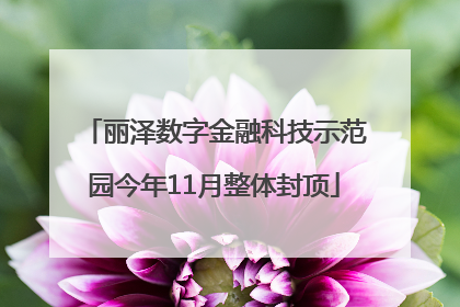丽泽数字金融科技示范园今年11月整体封顶