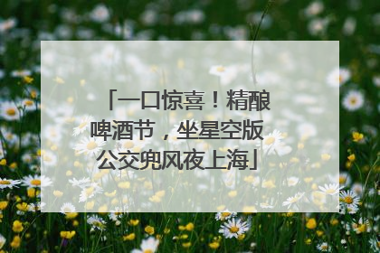 一口惊喜！精酿啤酒节，坐星空版公交兜风夜上海