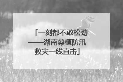 一刻都不敢松劲——湖南桑植防汛救灾一线直击