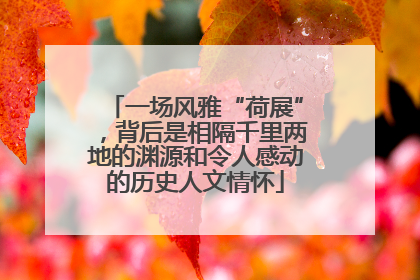 一场风雅“荷展”，背后是相隔千里两地的渊源和令人感动的历史人文情怀