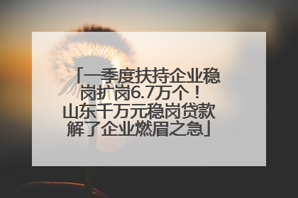 一季度扶持企业稳岗扩岗6.7万个！山东千万元稳岗贷款解了企业燃眉之急
