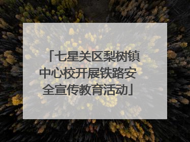 七星关区梨树镇中心校开展铁路安全宣传教育活动