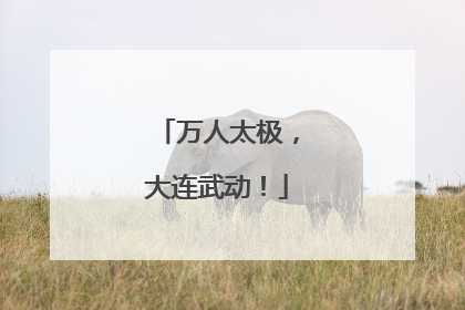 万人太极，大连武动！