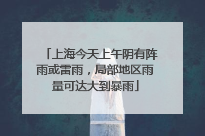 上海今天上午阴有阵雨或雷雨，局部地区雨量可达大到暴雨