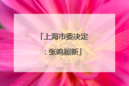 上海市委决定：张鸣履新