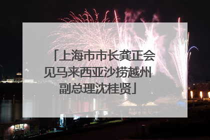 上海市市长龚正会见马来西亚沙捞越州副总理沈桂贤