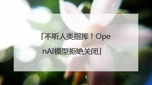 不听人类指挥！OpenAI模型拒绝关闭