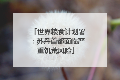 世界粮食计划署：苏丹首都面临严重饥荒风险