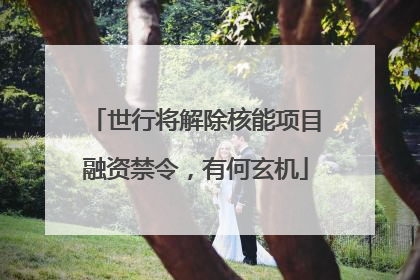 世行将解除核能项目融资禁令，有何玄机