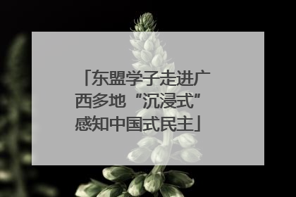 东盟学子走进广西多地“沉浸式”感知中国式民主