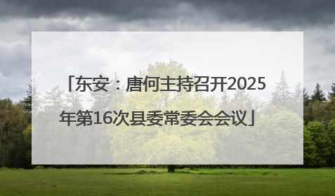 东安：唐何主持召开2025年第16次县委常委会会议