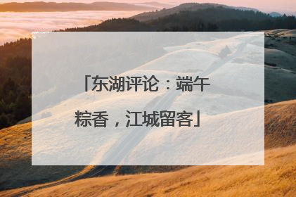 东湖评论：端午粽香，江城留客