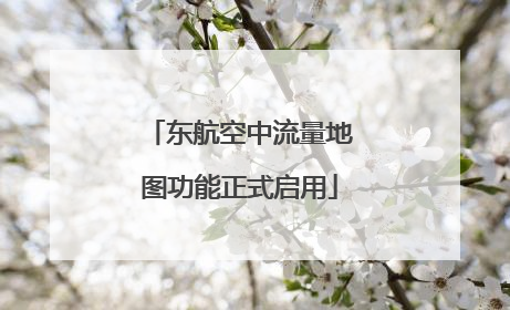 东航空中流量地图功能正式启用
