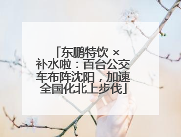 东鹏特饮 × 补水啦：百台公交车布阵沈阳，加速全国化北上步伐