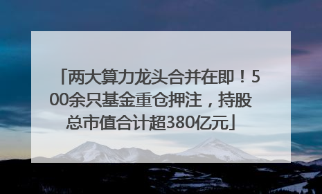 两大算力龙头合并在即！500余只基金重仓押注，持股总市值合计超380亿元