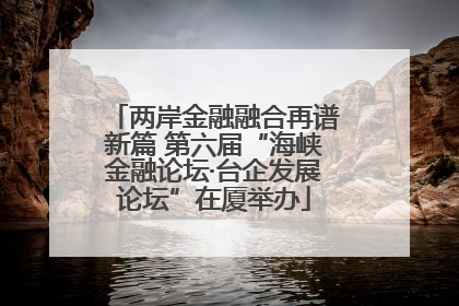 两岸金融融合再谱新篇 第六届“海峡金融论坛·台企发展论坛”在厦举办