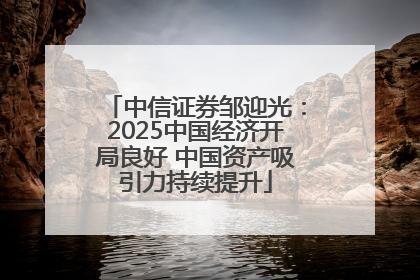 中信证券邹迎光：2025中国经济开局良好 中国资产吸引力持续提升
