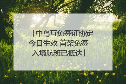中乌互免签证协定今日生效 首架免签入境航班已抵达
